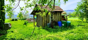 kleine hütte mit grundstück  ca 800m   vom bodensee  zu vermieten Bild 4