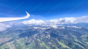 Herzdame sucht ihr Herzblatt. 