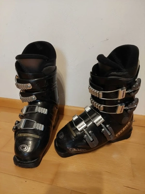 Skischuh Tecnica Gr. 36