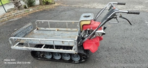 Raupentransporter Bild 2