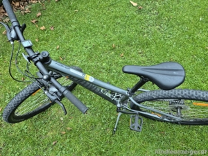 Kinder-Fahrrad Marke: Spezialized Modell Pitch Bild 3