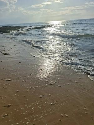 Escortladys auf Zypern gesucht!Gratis Wohnen!!!Top Verdienst!!! Bild 7