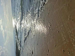 Escortladys für Zypern gesucht! GRATIS Wohnen! Top Verdienst! Bild 5