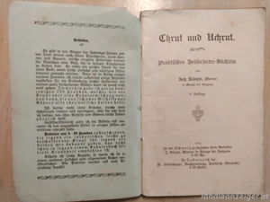 Heilkräuter-Buch 1912: Chrut und Uchrut Bild 3