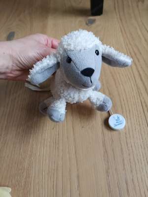 Sterntaler Schaf Spieluhr Bild 2