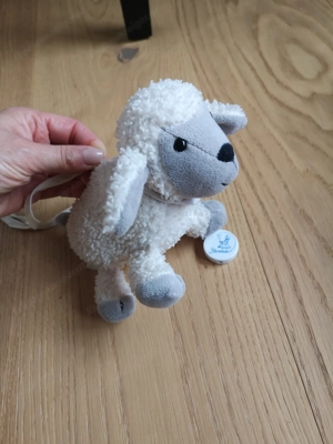 Sterntaler Schaf Spieluhr Bild 3