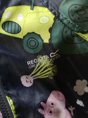 Matschanzug Regatta Peppa Wutz Bild 3