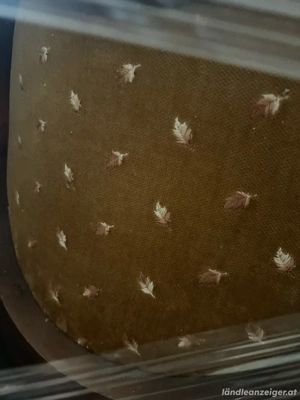 Stühle Brokat Bild 2