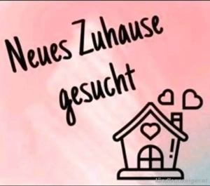 Gesucht: 2-3 Zimmer Mietwohnung