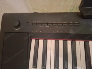 Keyboard Yamaha Piaggero NP-15
