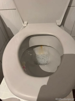 WC tiefspüler Bild 2