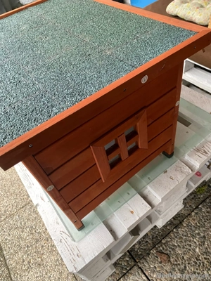 Katzenhaus Bild 3
