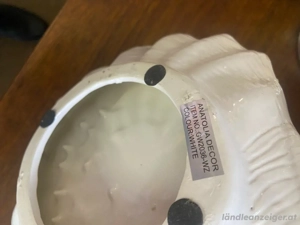 Muschelschale Bild 2