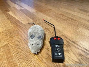 Maus  Ratte ferngesteuert Bild 2
