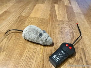 Maus  Ratte ferngesteuert