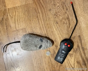Maus  Ratte ferngesteuert Bild 3