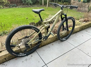 Rose Root Miller 2 zu verkaufen. Bild 2