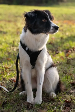 Bubi - NOTFALL Österreich Bild 5