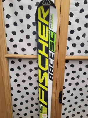 Ski Fischer Race SC 165cm Länge Bild 3
