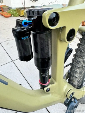 Rose Root Miller 2 zu verkaufen. Bild 4