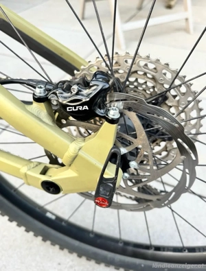 Rose Root Miller 2 zu verkaufen. Bild 3