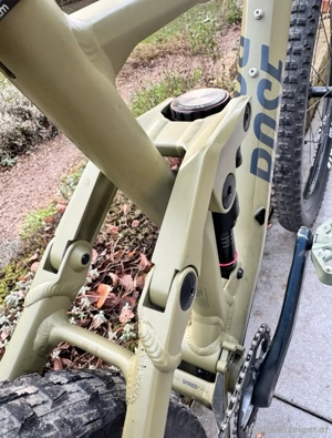 Rose Root Miller 2 zu verkaufen. Bild 5