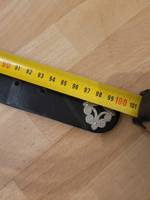 Appenzeller Gürtel Bild 6