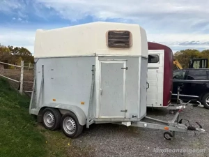 Pferdeanhänger Bild 2