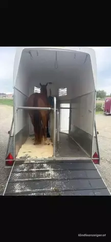 Pferdeanhänger