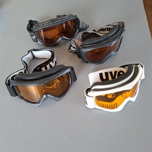 Diverse Schibrillen Bild 2