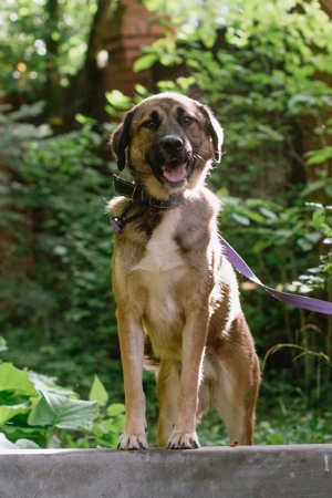 Aksi möchte ihre ganze Liebe zeigen Bild 4