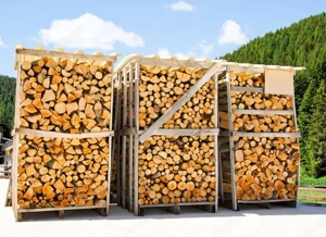 Trockenes Brennholz   bereit zum Verbrennen Bild 5