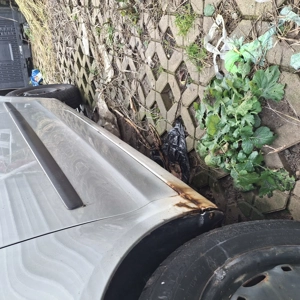 Polo 1.2 Benzin.  Bild 7