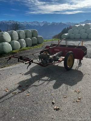 Reform Heuraupe Bild 3