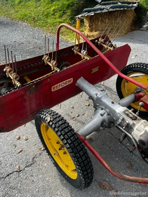 Reform Heuraupe Bild 5