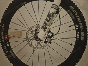 Rotwild Damenrad  Bild 2