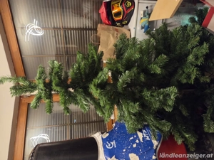 Zu Gross Weihnachtsbaum  Bild 2
