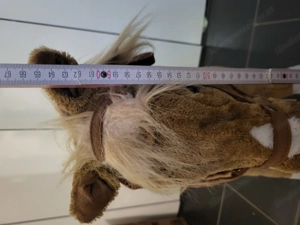 Steh Pferd für Kinder Bild 5