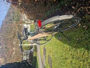 E-Bike aus Holz von MyEsel Bild 4