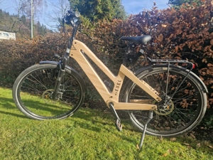 E-Bike aus Holz von MyEsel Bild 1