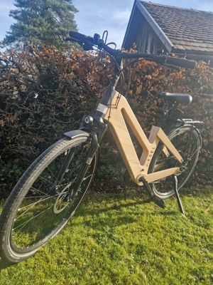 E-Bike aus Holz von MyEsel Bild 3