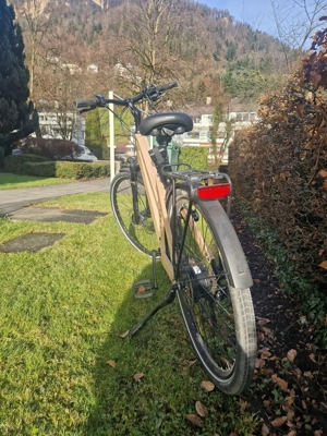 E-Bike aus Holz von MyEsel Bild 4