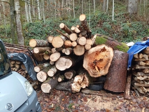 Brennholz hart zu verkaufen Bild 2