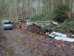 Brennholz hart zu verkaufen Bild 5