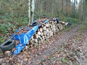 Brennholz hart zu verkaufen Bild 4