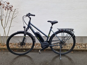 Gepflegtes Triumph E-Bike (53 cm)