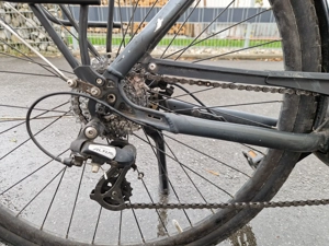 Gepflegtes Triumph E-Bike (53 cm) Bild 3