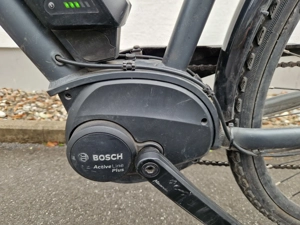 Gepflegtes Triumph E-Bike (53 cm) Bild 6