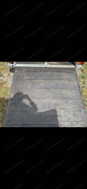 Kleinpferde Pferdeanhänger Cheval Liberte Bild 3