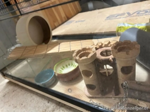 Hamsterkäfig Bild 2